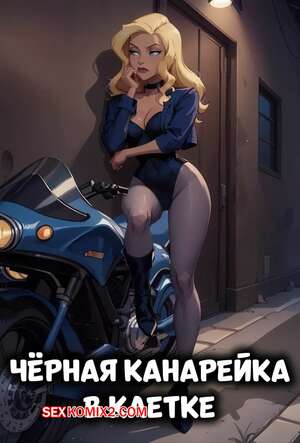 Порно комикс DC. Черная канарейка в клетке. The Black Canary in the Cage. Electrickink.