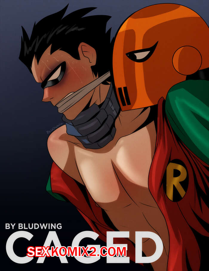Порно комикс Робин. Caged.